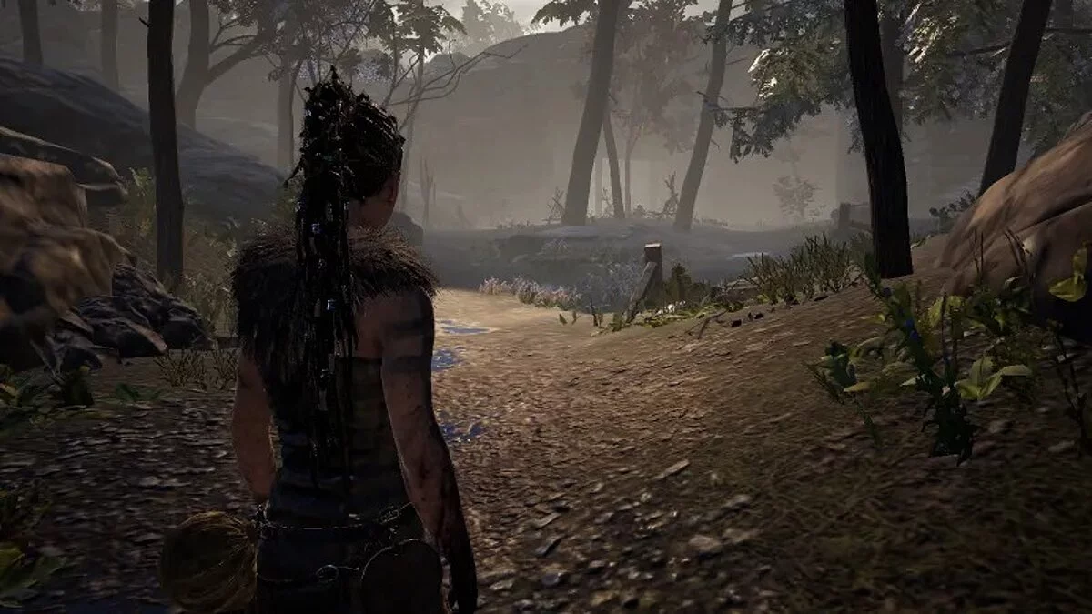 Hellblade: Senua&#039;s Sacrifice — Очень сильная оптимизация и ухудшение графики