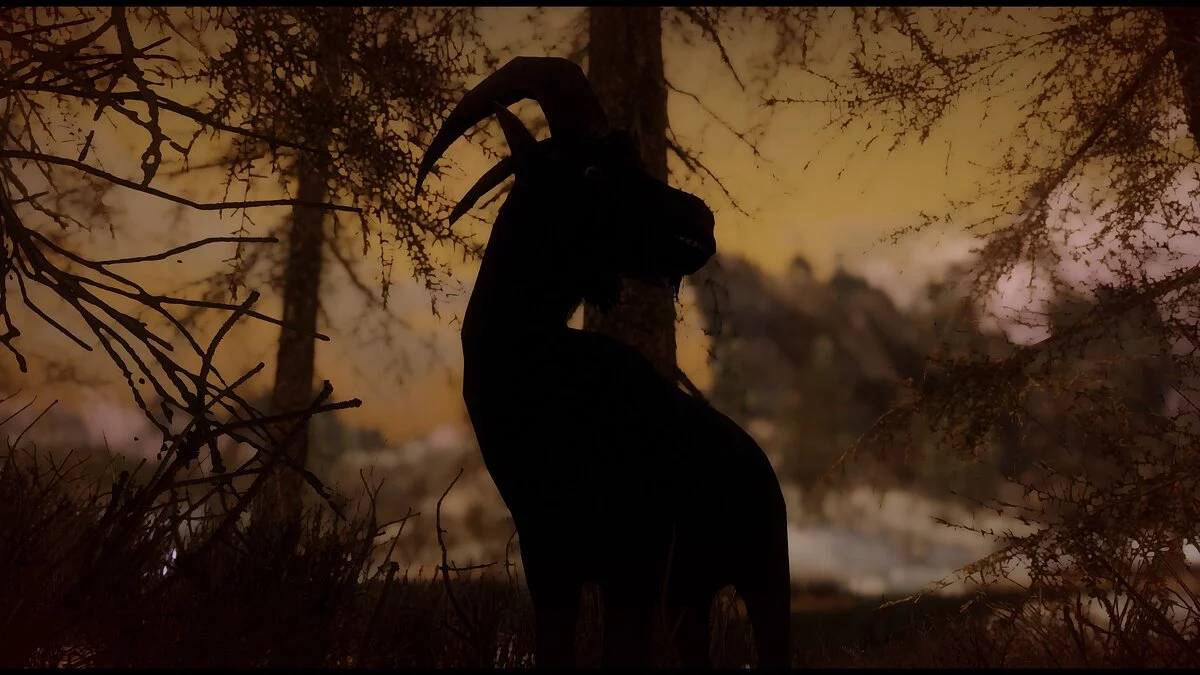 Elder Scrolls 5: Skyrim Special Edition —  Компаньон черный Филипп