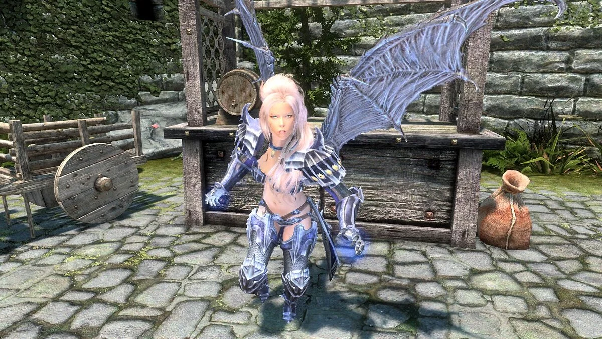 Elder Scrolls 5: Skyrim Special Edition — Компаньон Мираджейн