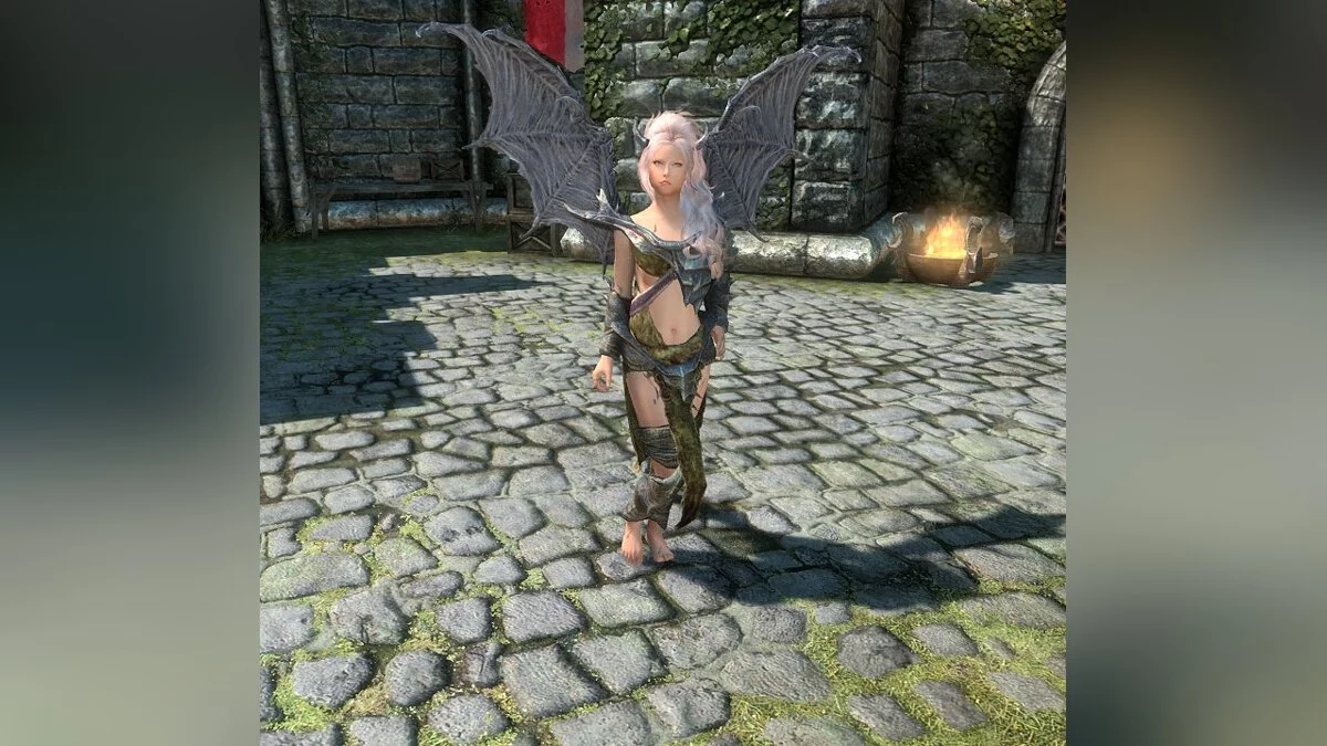 Elder Scrolls 5: Skyrim Special Edition — Компаньон Мираджейн