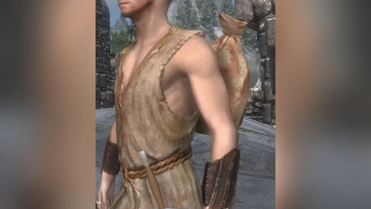 Elder Scrolls 5: Skyrim Special Edition — Заплечный мешок