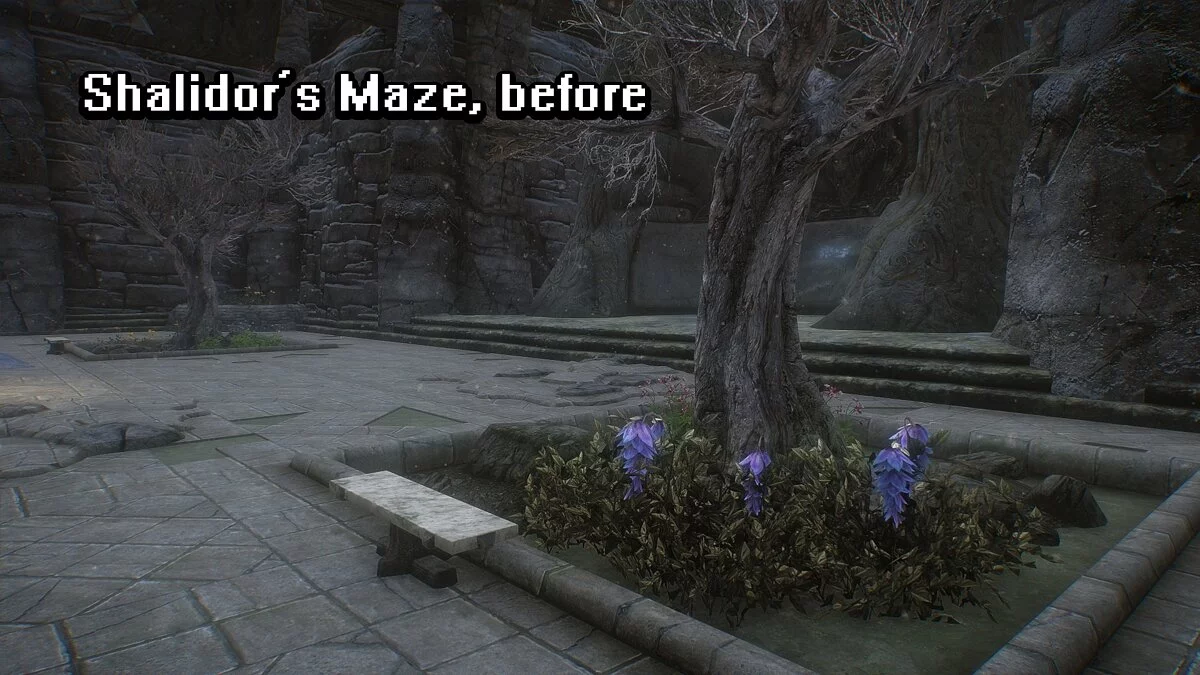 Elder Scrolls 5: Skyrim Special Edition — Солнце и тени