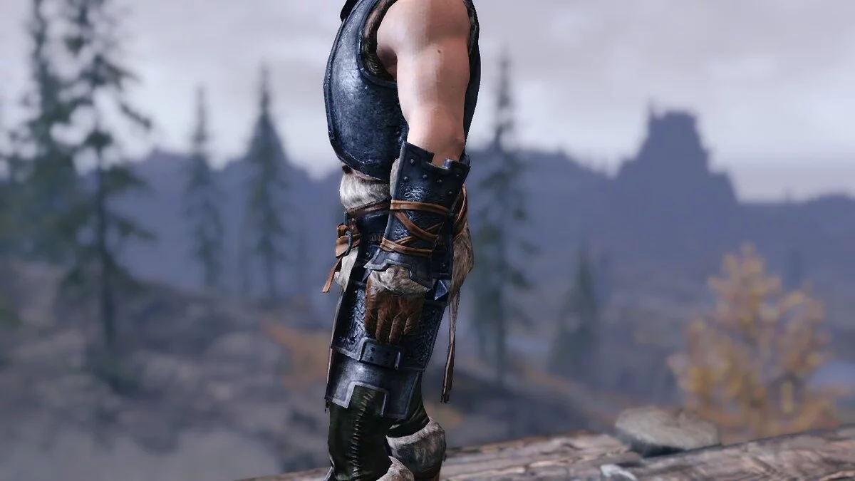 Elder Scrolls 5: Skyrim Special Edition — Блестящая и менее ржавая железная броня