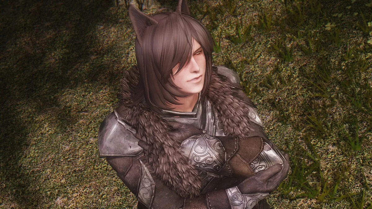 Elder Scrolls 5: Skyrim Special Edition — Кемомими - компаньон-оборотень