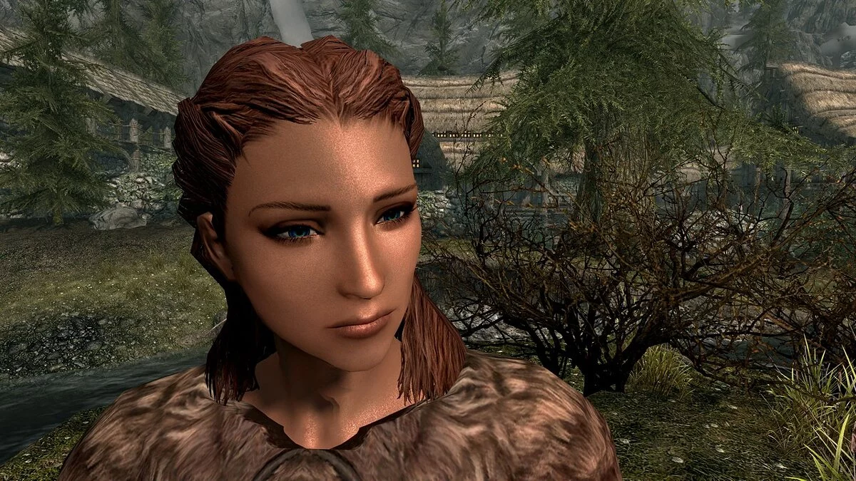 The Elder Scrolls 5: Skyrim Legendary Edition — Компаньон Брюлда