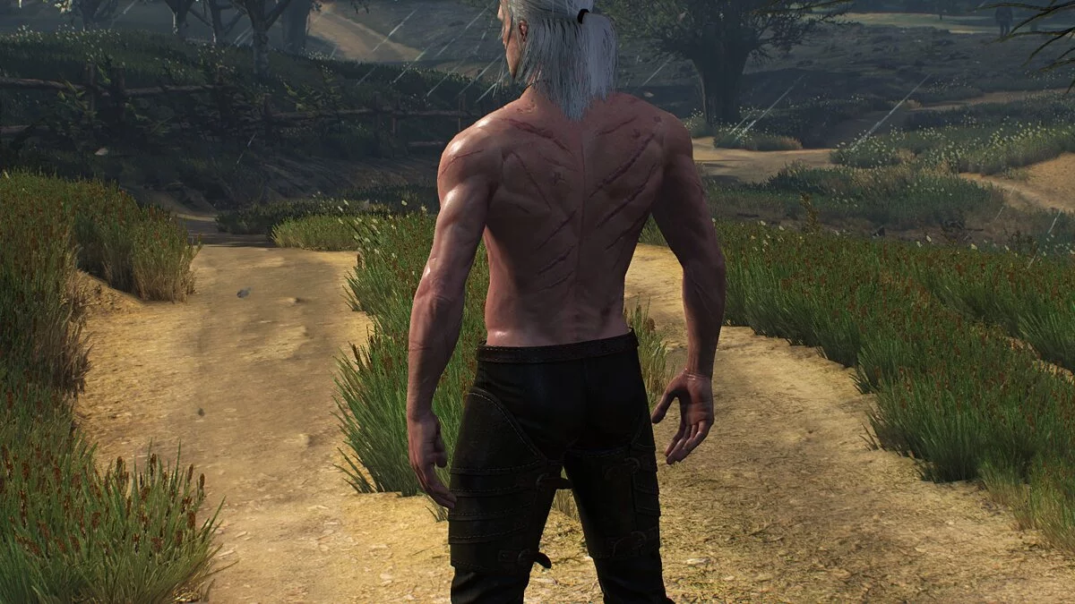 The Witcher 3: Wild Hunt - Complete Edition — Худой мускулистый Геральт