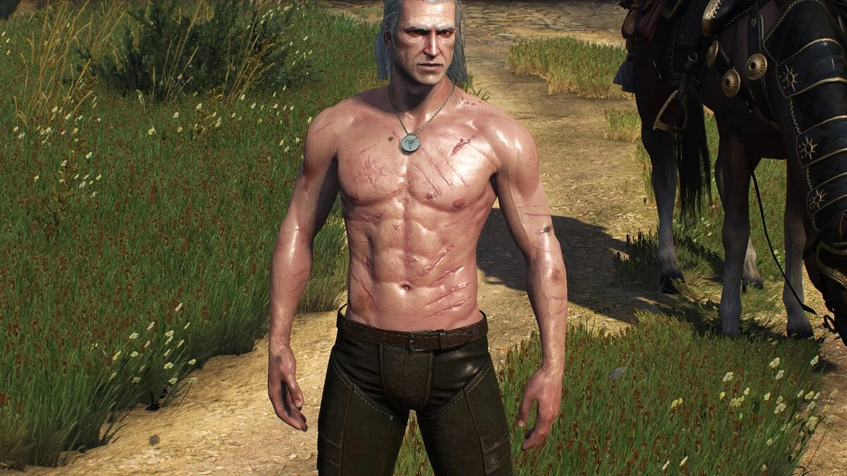 The Witcher 3: Wild Hunt - Complete Edition — Худой мускулистый Геральт