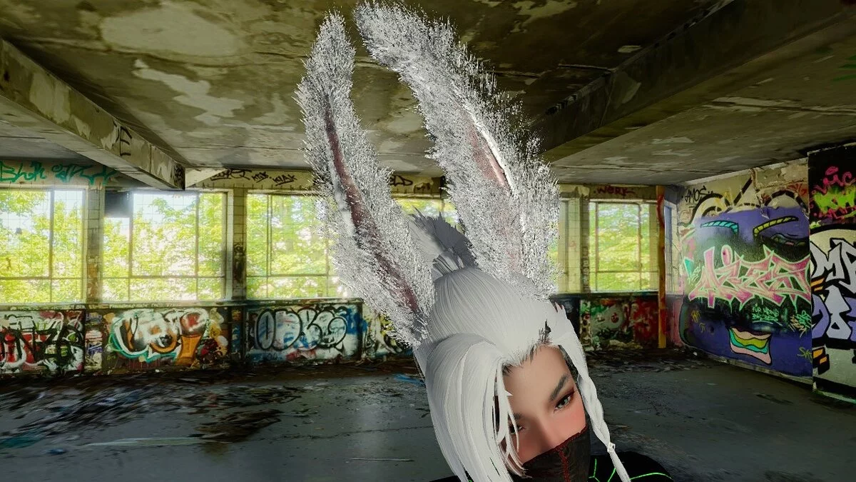 The Elder Scrolls 5: Skyrim Legendary Edition — Фэнтезийные аксессуары