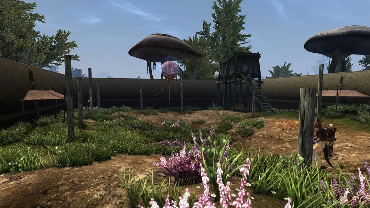 Elder Scrolls 3: Morrowind — Улучшенная плантация Дрена