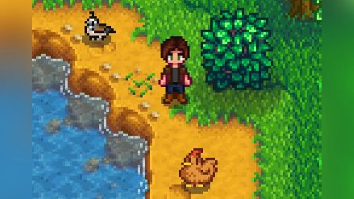 Stardew Valley — Перепелки и цыплята