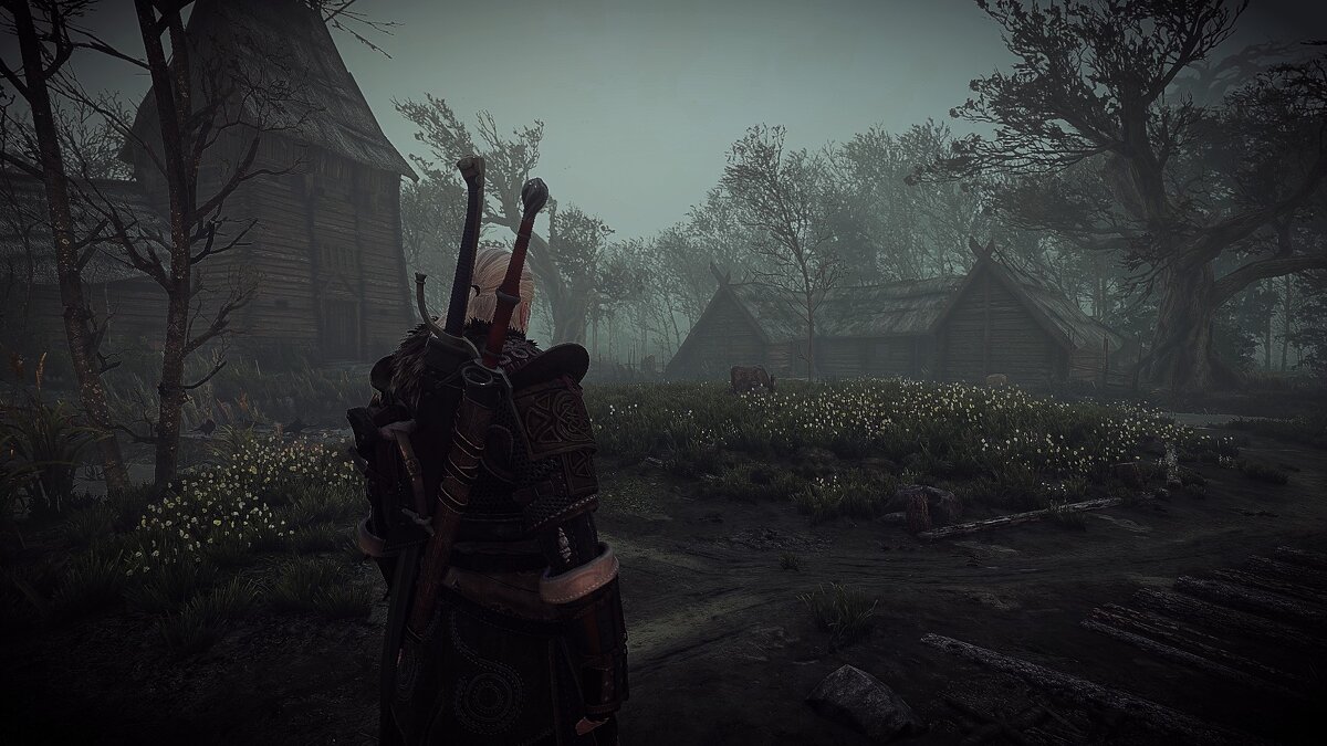 The witcher 3 ghost mode фото 15