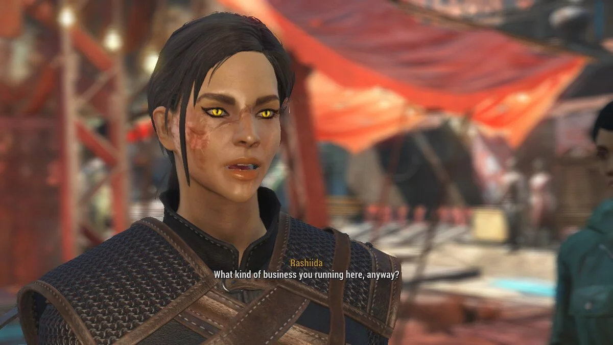 Fallout 4: Game of the Year Edition — Пресет ведьмы для главного героя