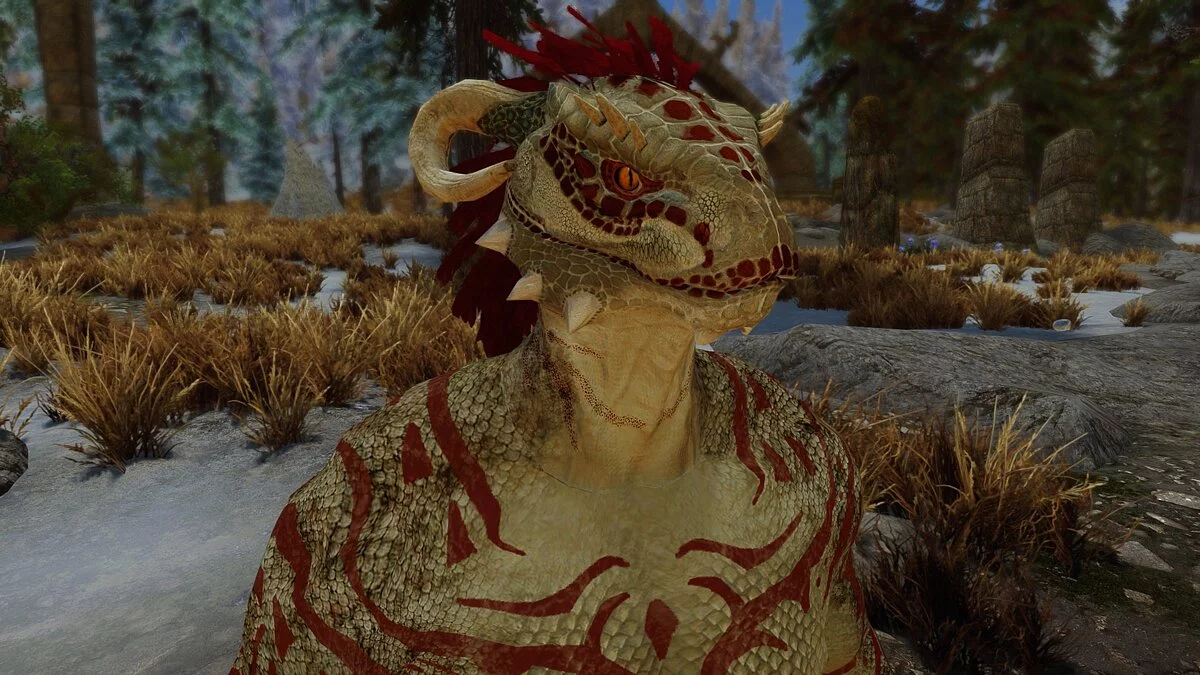 Elder Scrolls 5: Skyrim Special Edition — Дракиус - пресет для главного героя