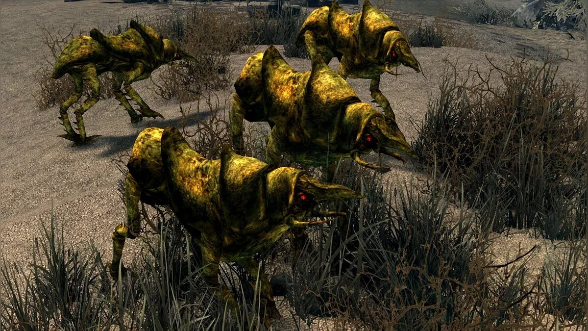 The Elder Scrolls 5: Skyrim Legendary Edition — Никс-гончие