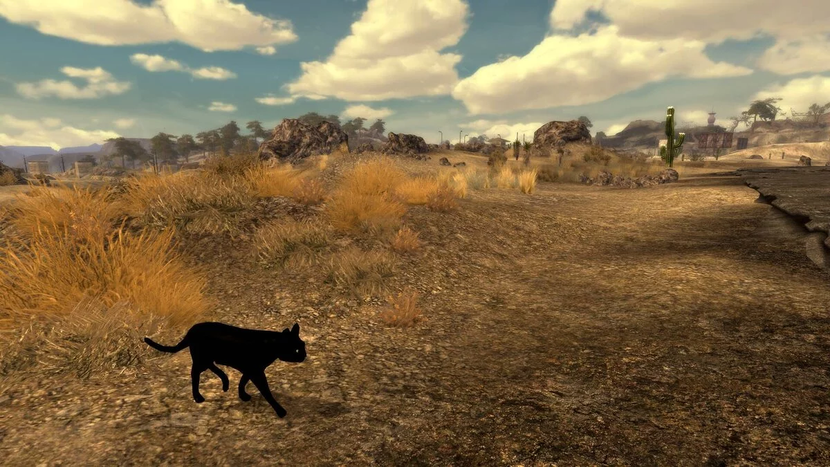 Fallout: New Vegas — Бездомные кошки в пустоши