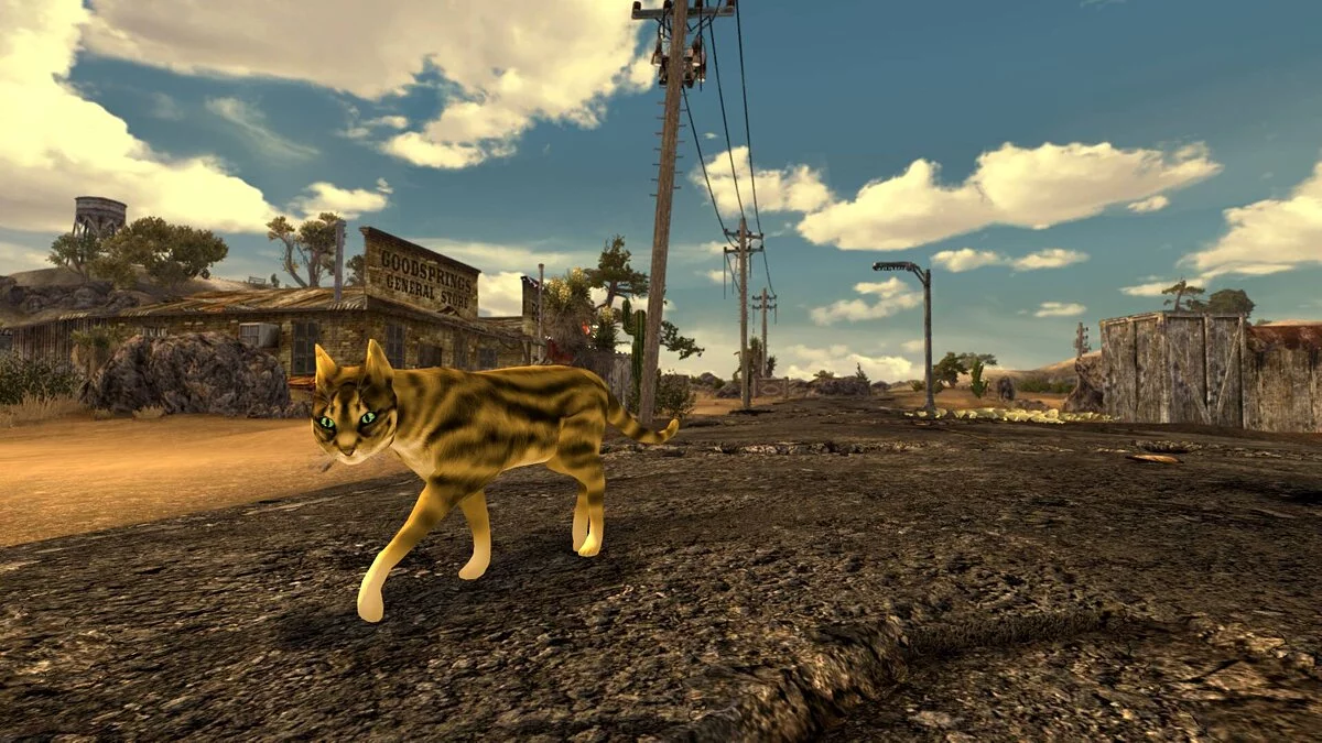 Fallout: New Vegas — Бездомные кошки в пустоши