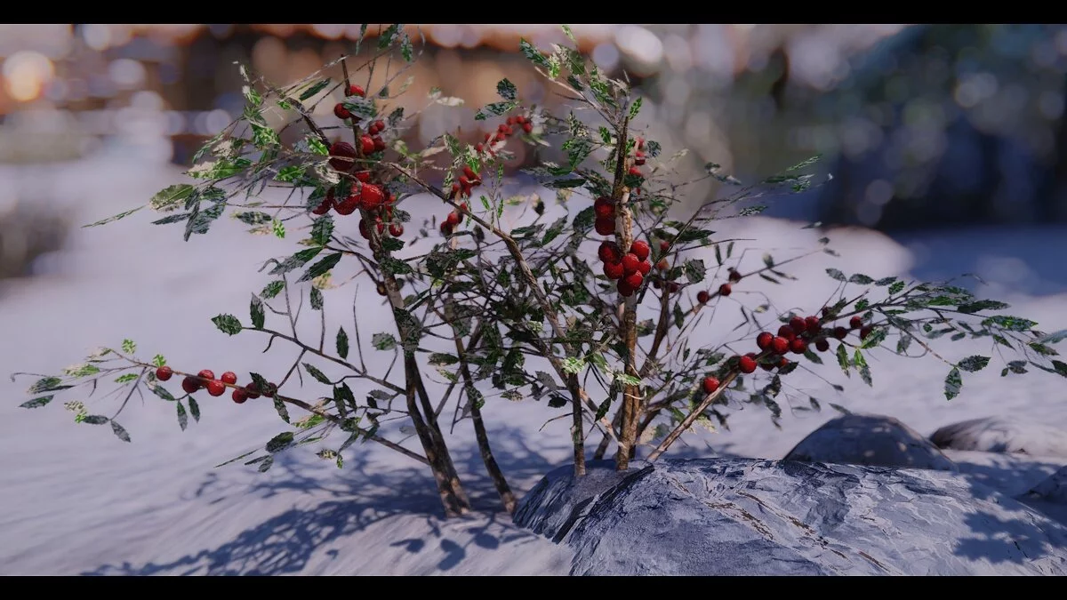 The Elder Scrolls 5: Skyrim Legendary Edition — HD текстуры для снежных ягод