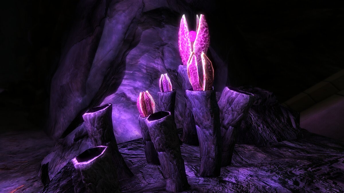Elder Scrolls 5: Skyrim Special Edition — Ретекстур пещерного цветка
