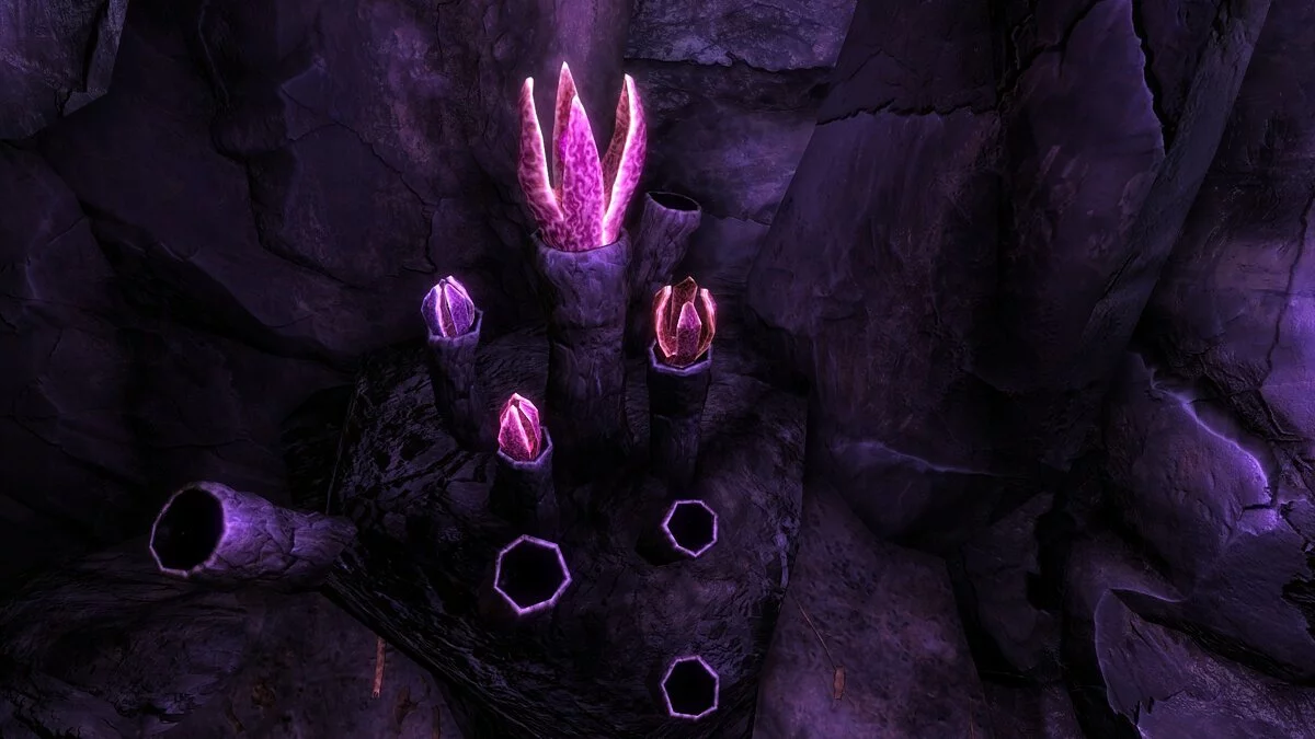 The Elder Scrolls 5: Skyrim Legendary Edition — Ретекстур пещерного цветка