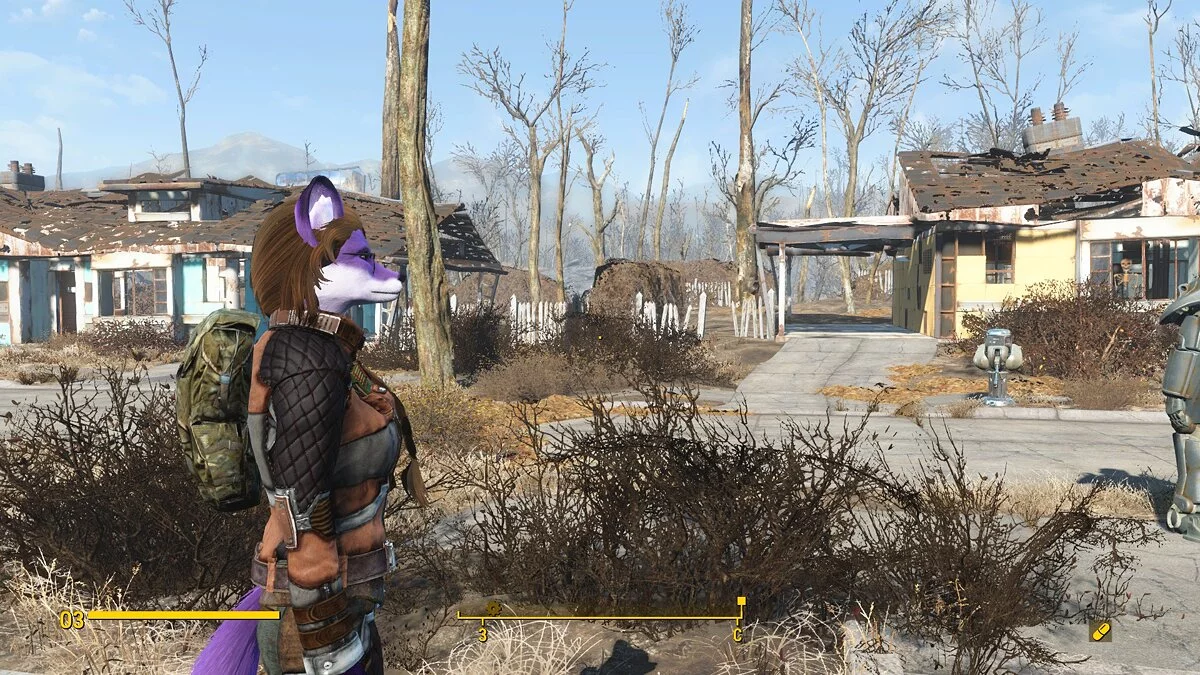 Fallout 4: Game of the Year Edition — Рюкзаки из игры STALKER: Call of Pripyat