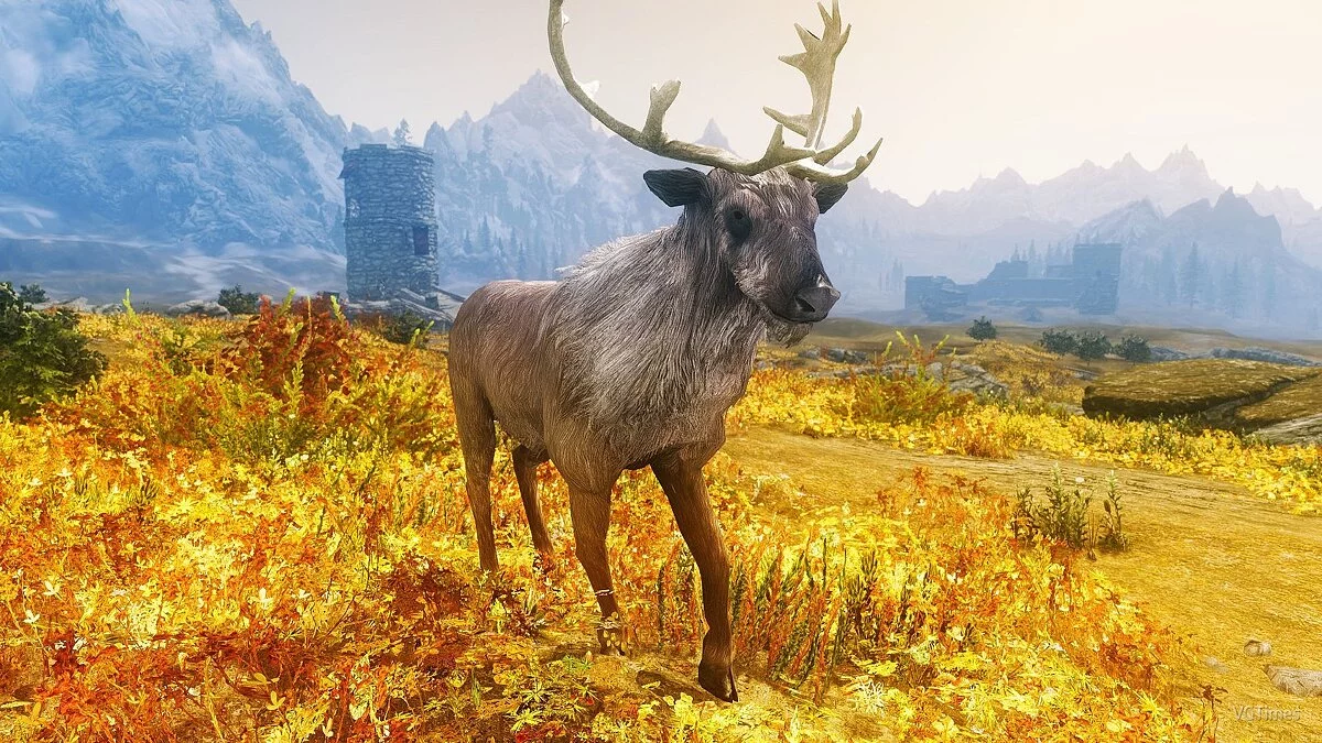 The Elder Scrolls 5: Skyrim — Тетрахроматия ENB