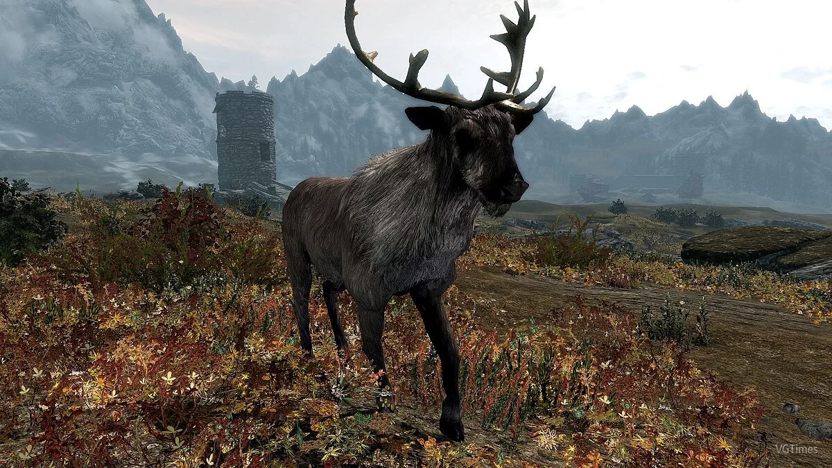 The Elder Scrolls 5: Skyrim — Тетрахроматия ENB