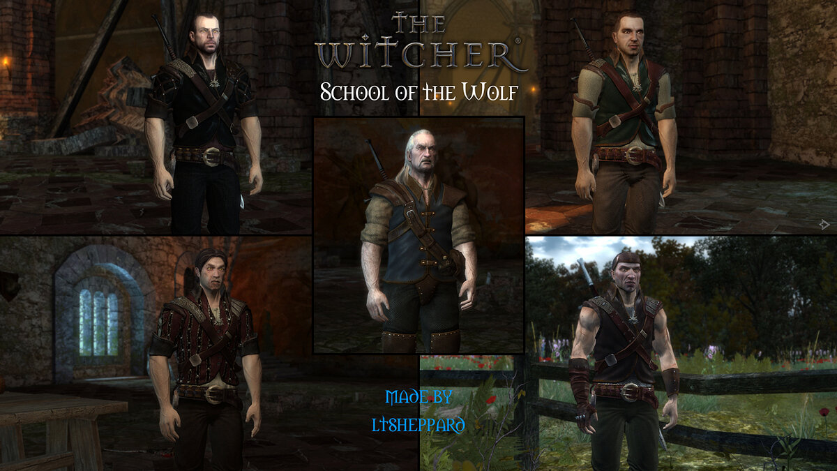 The Witcher — Школа Волка