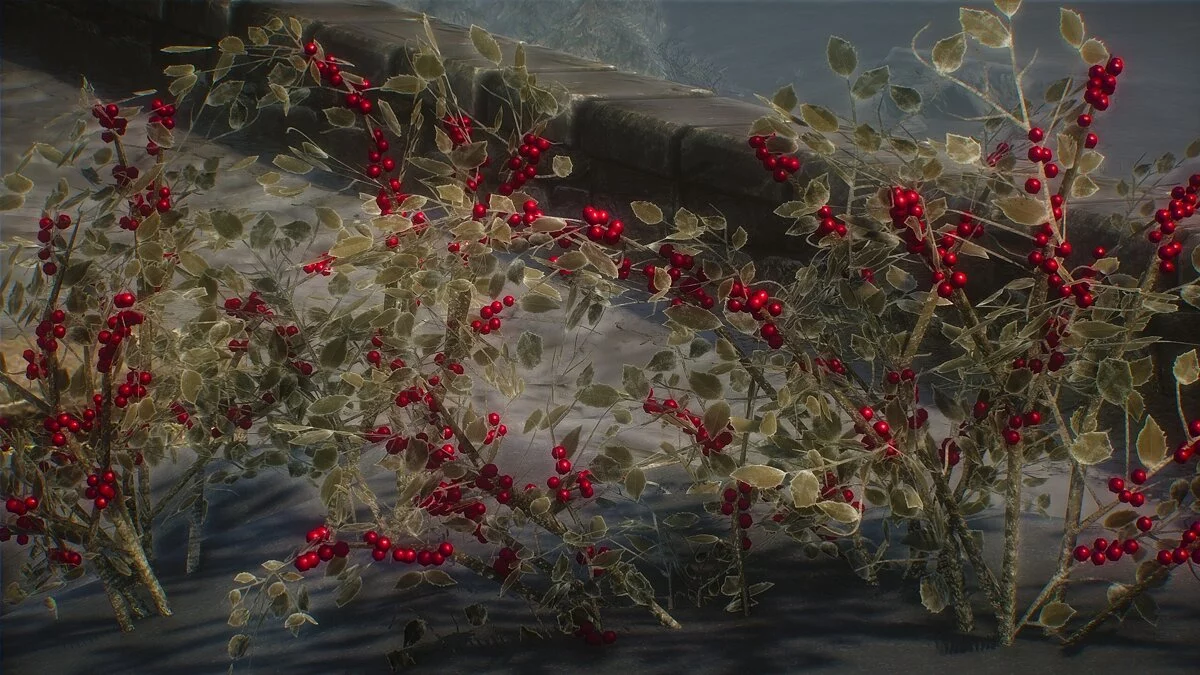 Elder Scrolls 5: Skyrim Special Edition — HD снежная ягода