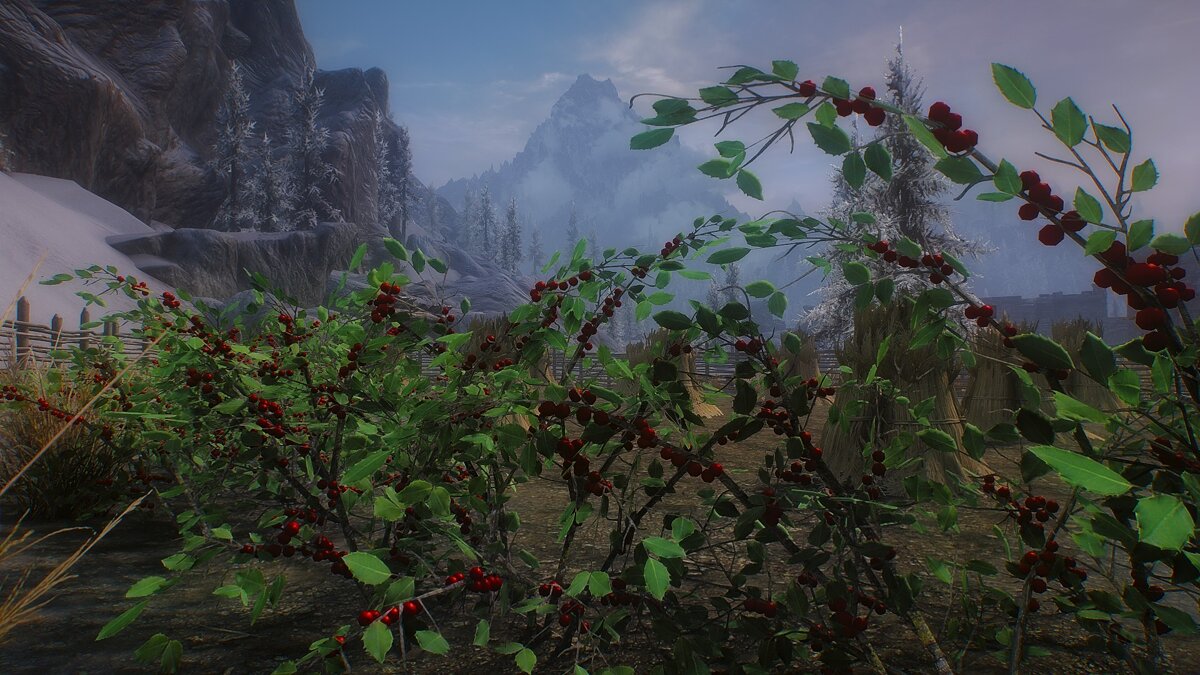 Elder Scrolls 5: Skyrim Special Edition — HD снежная ягода