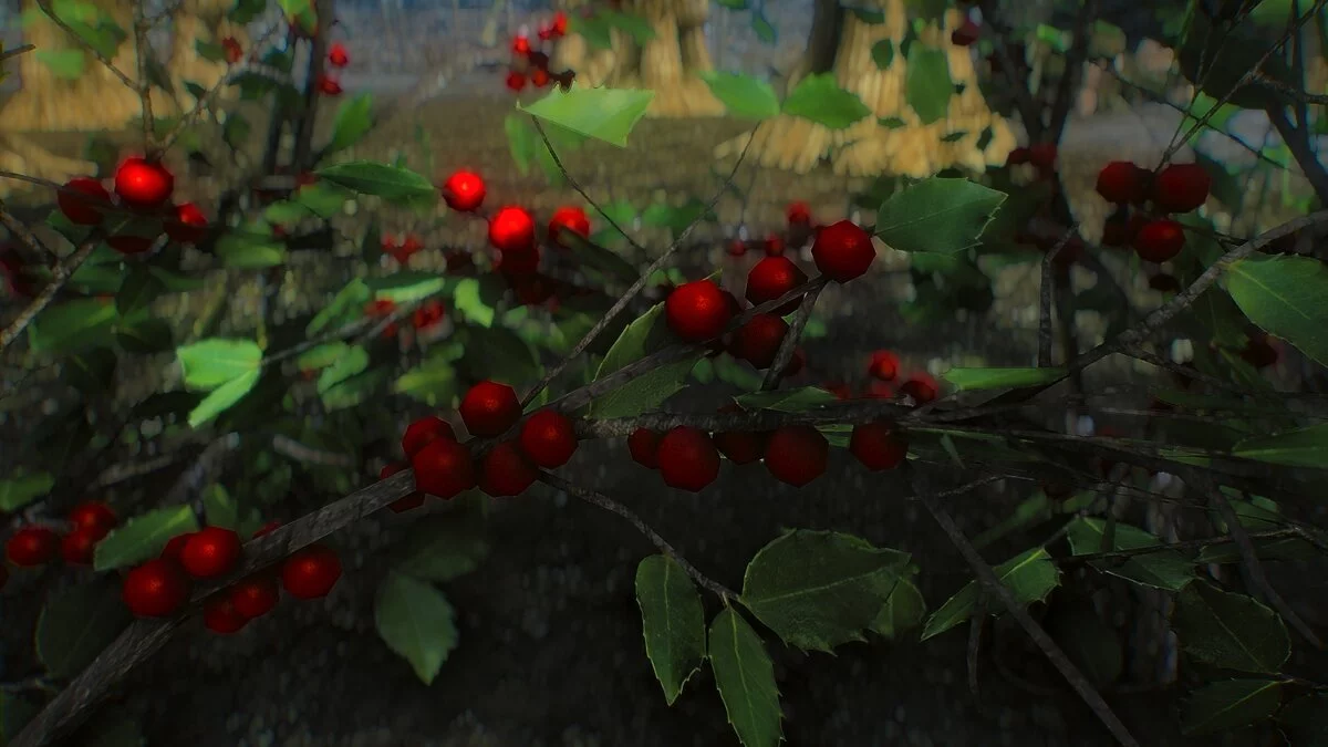 Elder Scrolls 5: Skyrim Special Edition — HD снежная ягода