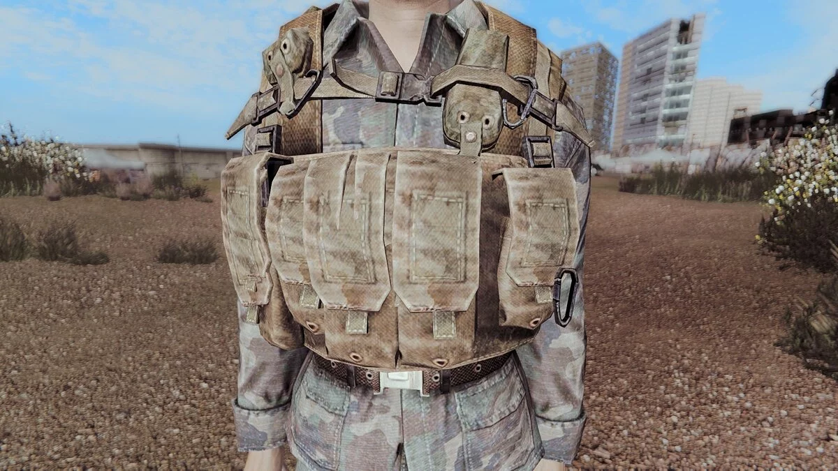 Fallout: New Vegas — Камуфляж из игры Call of Duty Black Ops 2