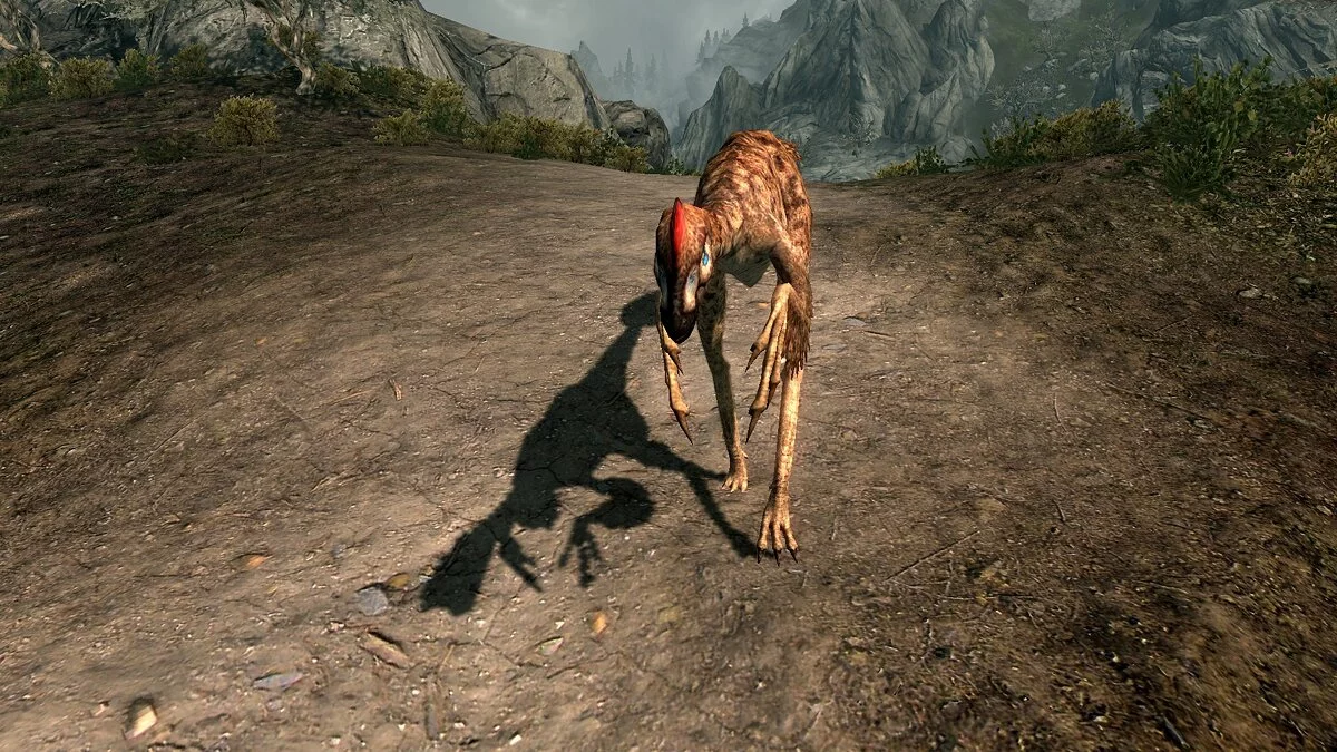 The Elder Scrolls 5: Skyrim Legendary Edition — Овирапторы