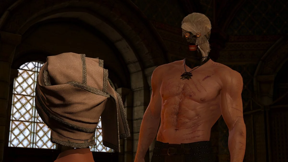 The Witcher 3: Wild Hunt — Воссоздание бага из Assassin's Creed Unity