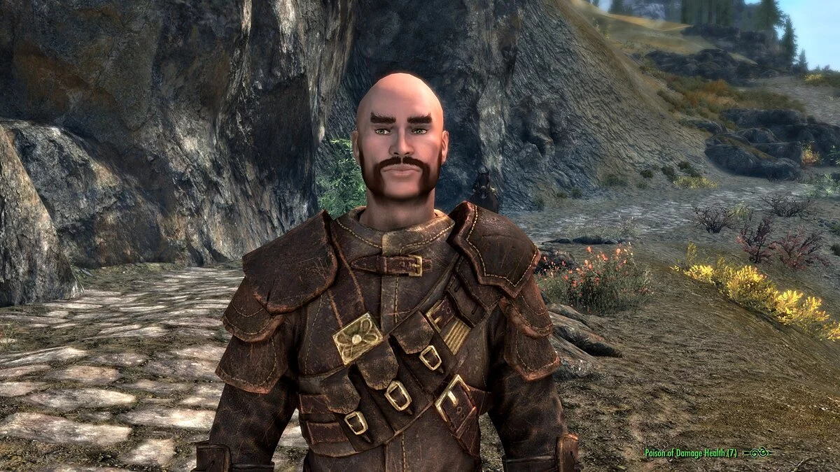 Elder Scrolls 5: Skyrim Special Edition — Компаньоны из игры Divinity: Original Sin