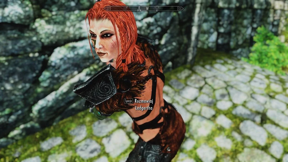 The Elder Scrolls 5: Skyrim Legendary Edition — Ладгерта - интересный компаньон