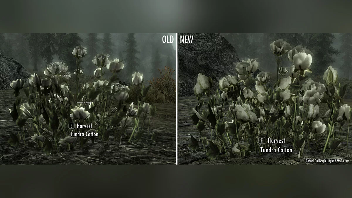 Elder Scrolls 5: Skyrim Special Edition — Домашние растения и травы в HD