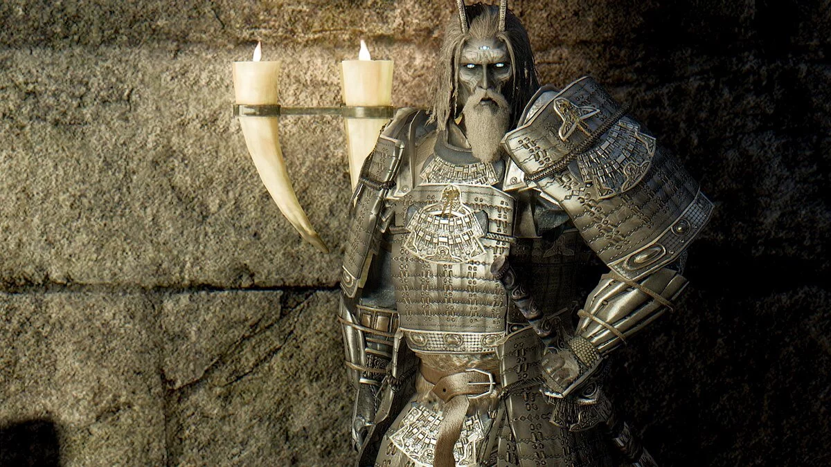 The Elder Scrolls 5: Skyrim Legendary Edition — Компаньон Райко