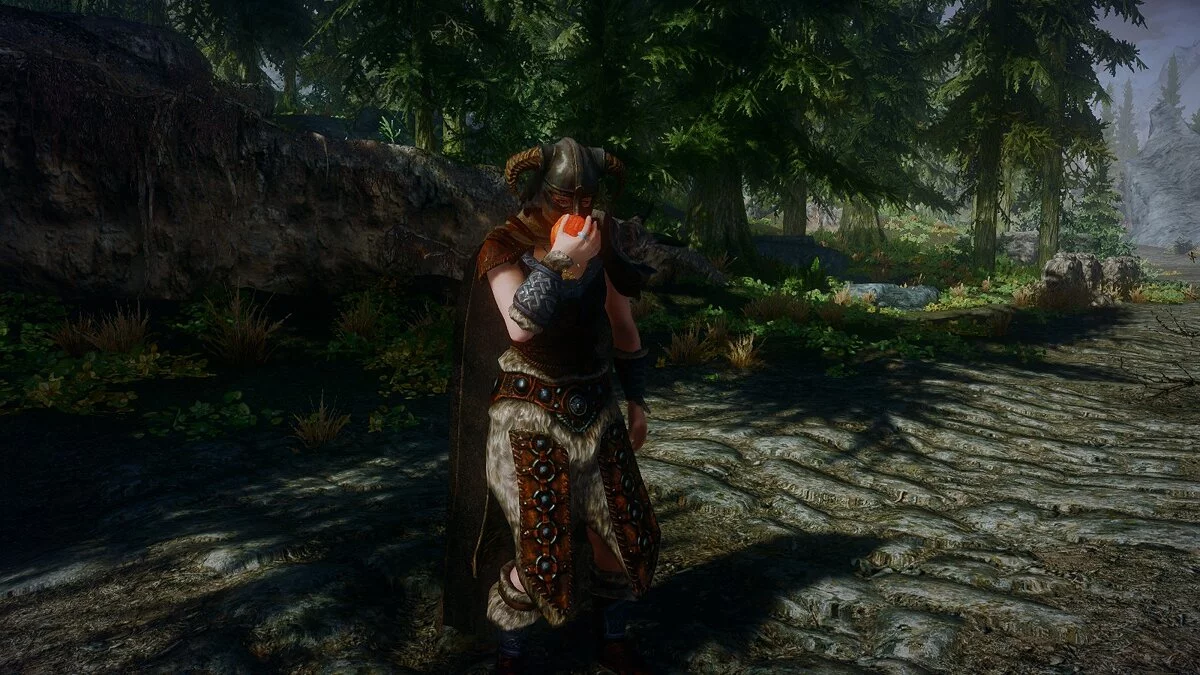 Elder Scrolls 5: Skyrim Special Edition — Анимация питания