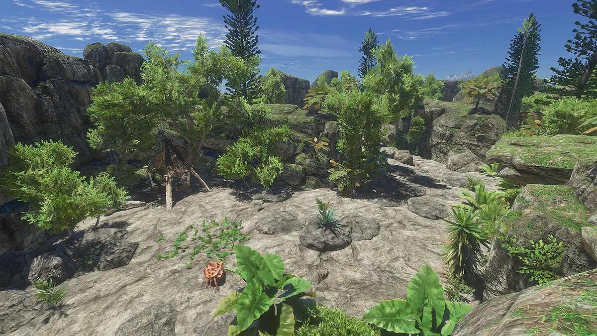 Stranded Deep — Скала