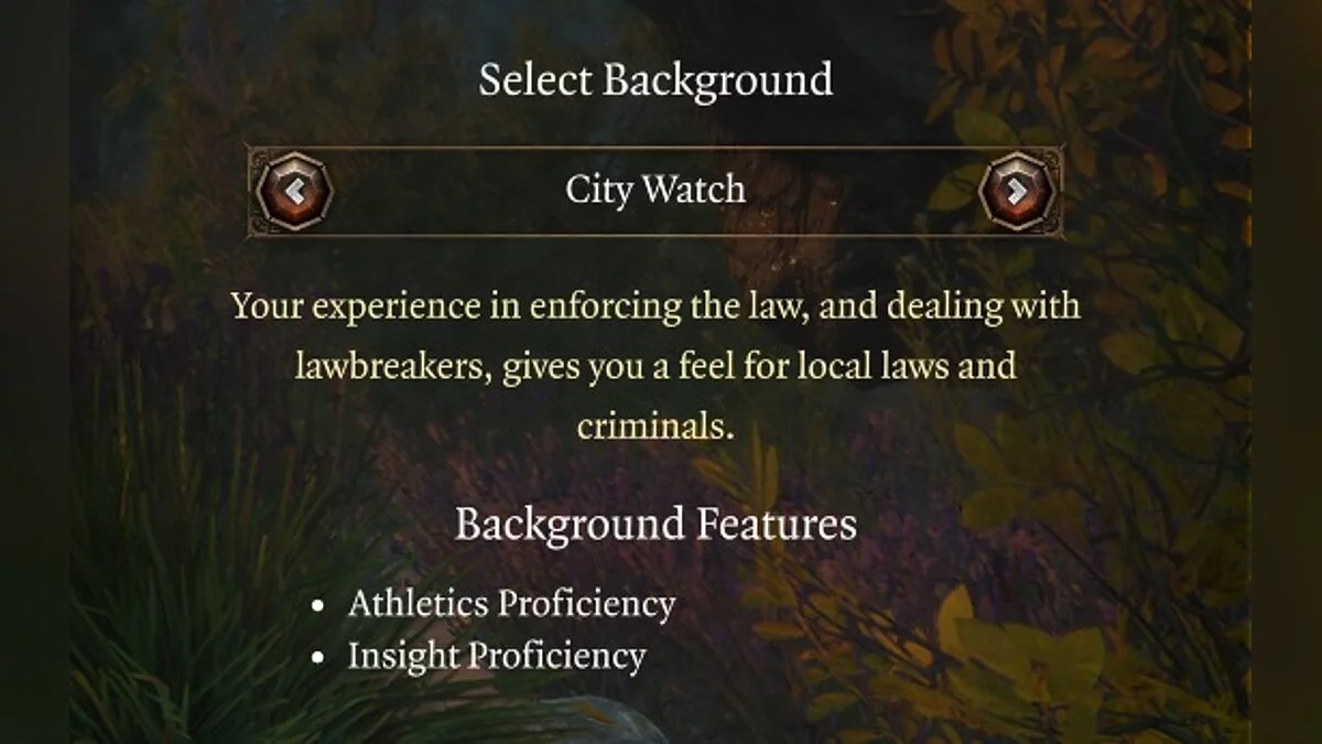 Baldur&#039;s Gate 3 — Расширенные фоны