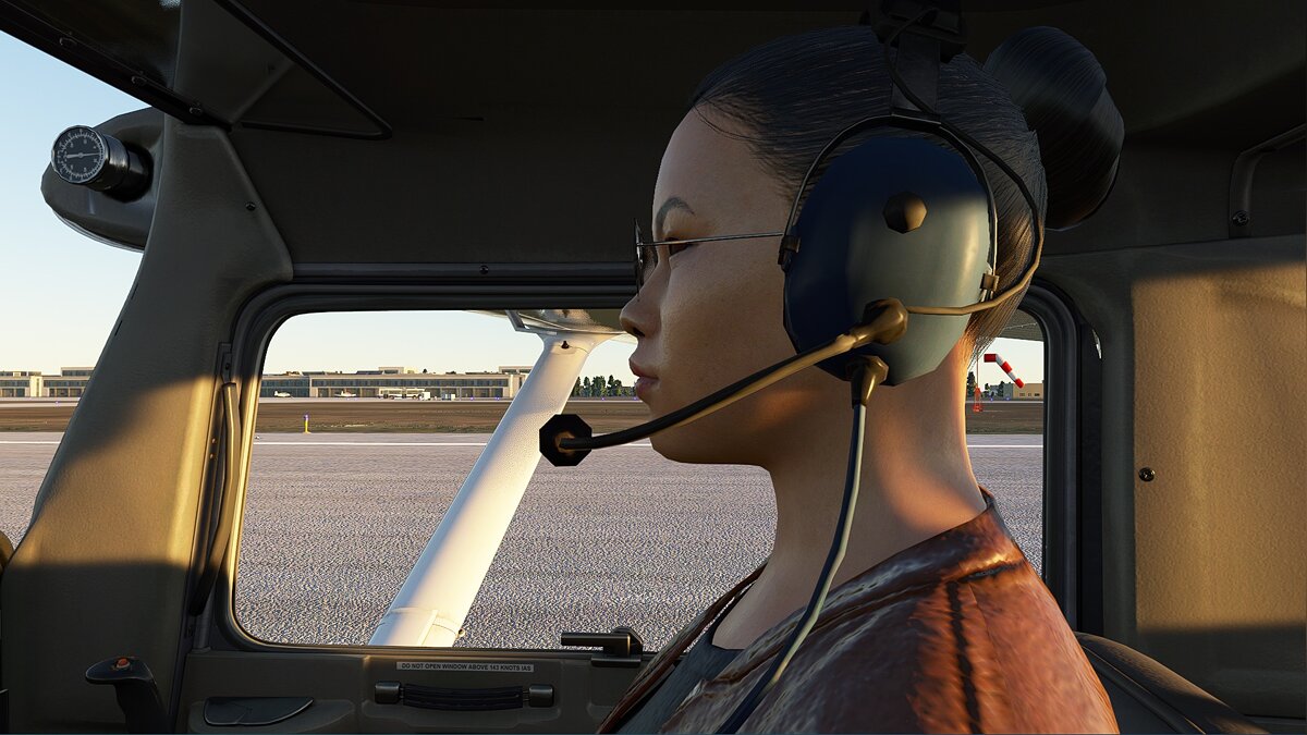 Microsoft Flight Simulator — Видимый второй пилот