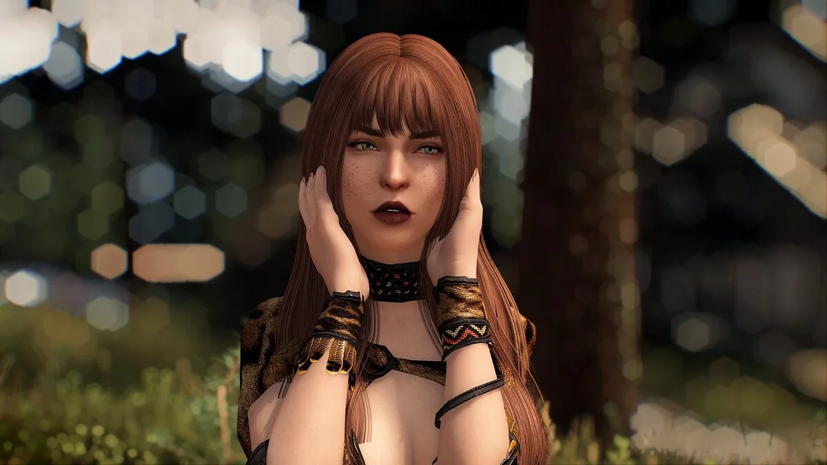 Elder Scrolls 5: Skyrim Special Edition — Пять пресетов лица для главного героя