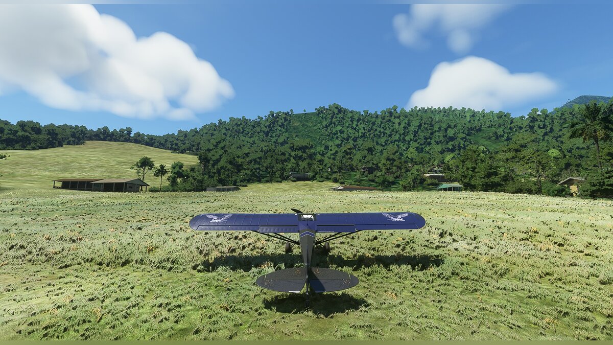 Microsoft Flight Simulator — Восточное Папуа - нелегальные ВПП