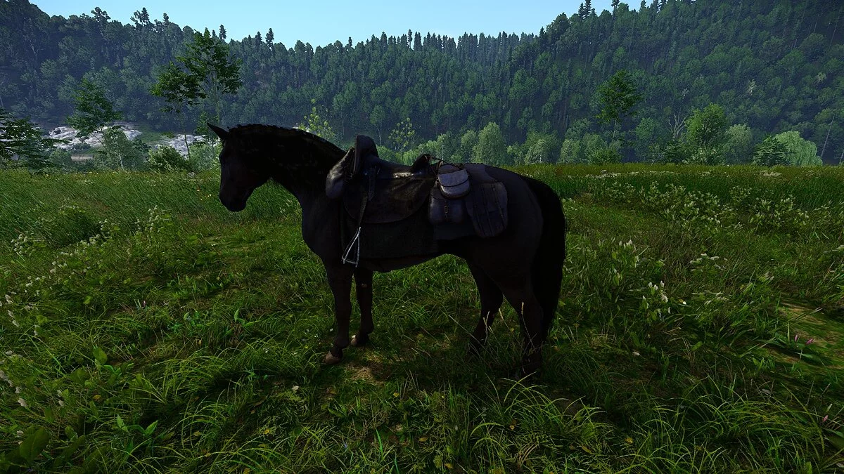Kingdom Come: Deliverance - Royal Edition — Седло и уздечка - благородный вариант