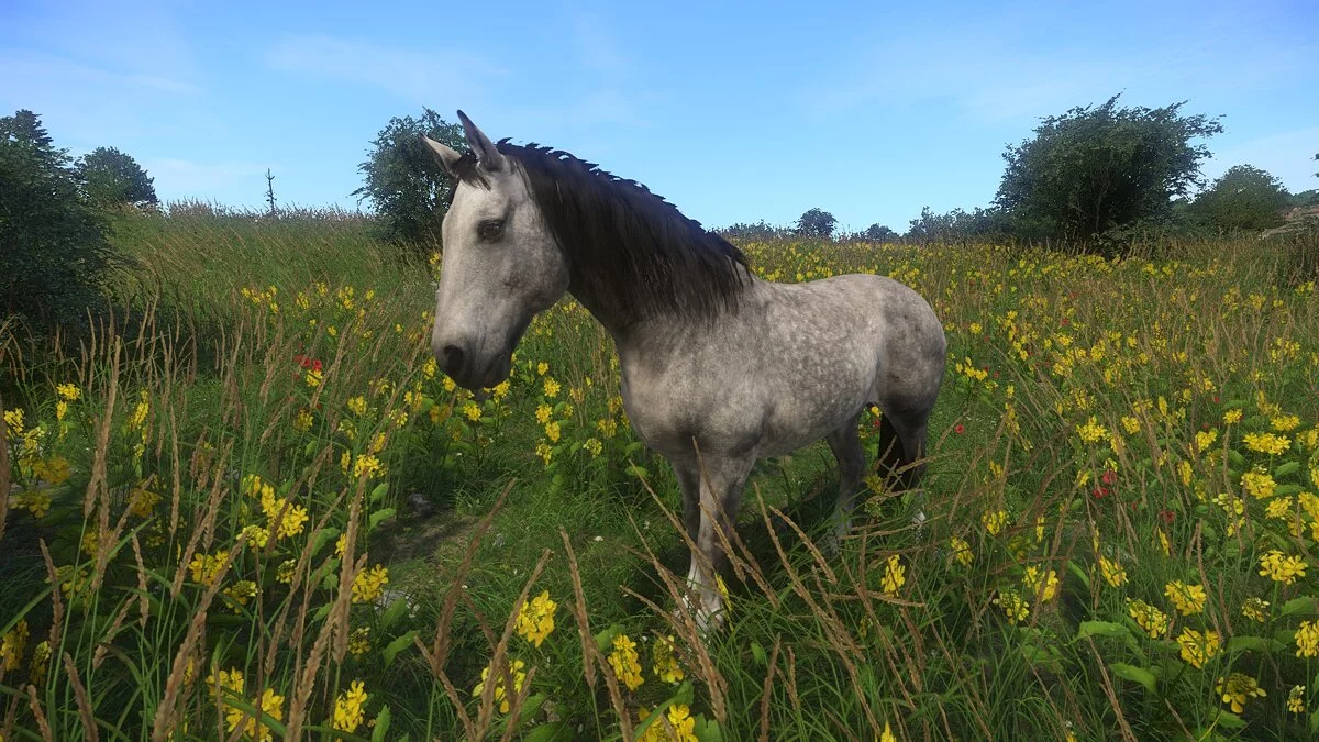 Kingdom Come: Deliverance - Royal Edition — Больше цветов для лошадей