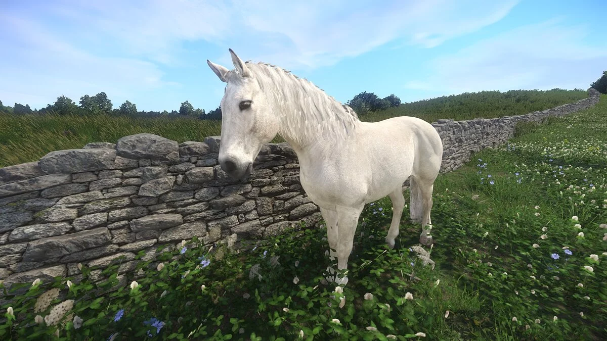 Kingdom Come: Deliverance - Royal Edition — Больше цветов для лошадей