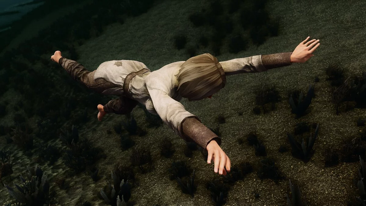 The Elder Scrolls 5: Skyrim Legendary Edition — Новая анимация плавания