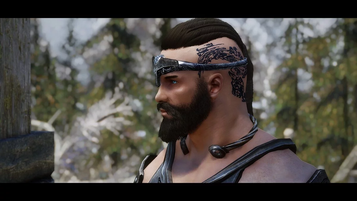 The Elder Scrolls 5: Skyrim Legendary Edition — Компаньон Рагнар