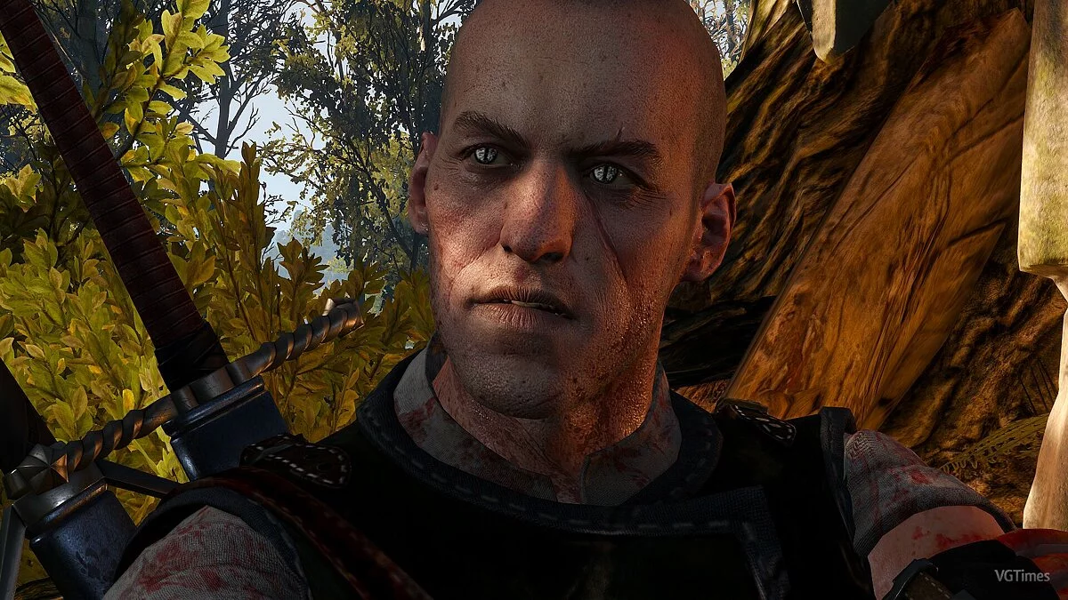 The Witcher 3: Wild Hunt — Каноничный ретекстур Ведьмаков