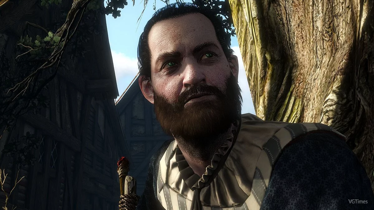 The Witcher 3: Wild Hunt — Каноничный ретекстур Ведьмаков